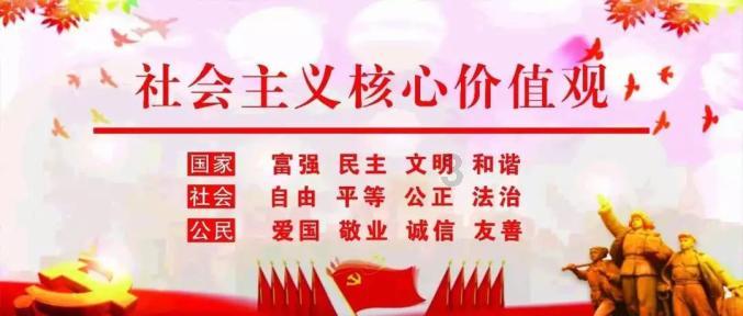 Cu-OFE CR009A C101 C102 C103红铜 紫铜 无氧铜 纯铜 铜合金 铜棒 铜板材